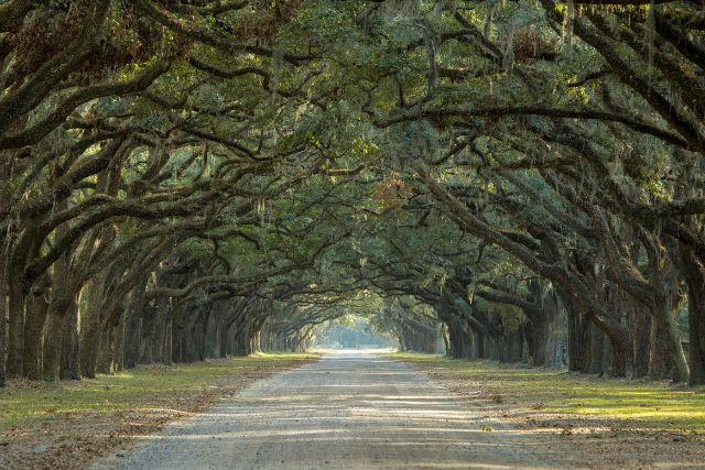 how to spend one day-in charleston sc